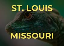 St. Louis/Bridgeton Missouri Reptile Show