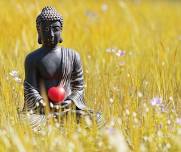 A Day of Mindfulness at the OM Center - Healing Old Pain