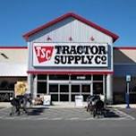 Tractor Supply Pet Adoption & Chainsaw Carving Event