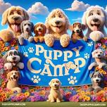 Puppy Camp!