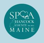 Non-Profit Trivia Night: SPCA Hancock County