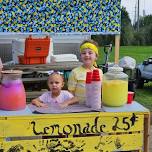 Lemonade Stand