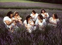 New Hampshire 2nd annual group breastfeeding session in the lavenders