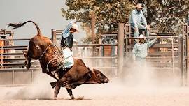 Cody Stampede PRCA Rodeo