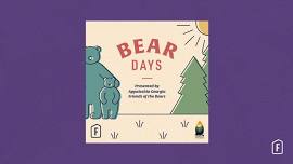 Bear Days of the Appalachia at Brasstown Bald