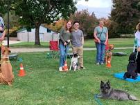 All levels dog training at Olympus Park!