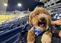 Fort Myers Mighty Mussels at Tampa Tarpons