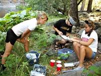 Stream Team Water Monitoring