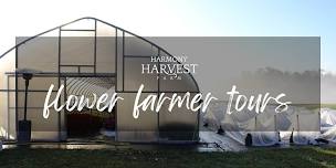 Harmony Harvest Farm: Flower Farmer Tours