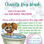 Charity Dog Wash