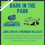 CVRR @ Hillcats