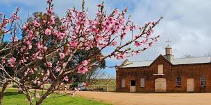 Cooma Cottage En Plein Air Workshop