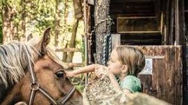 The world of horses - Oursons