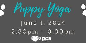 Puppy Yoga - June 1, 2024 2:30pm - 3:30pm