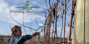 Four Corners Grape Pruning Workshop