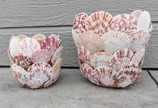 Terracotta seashell planter & BYOB