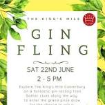 Canterbury Gin Fling — Lilford Gallery - Canterbury Buy Original Art in Kent