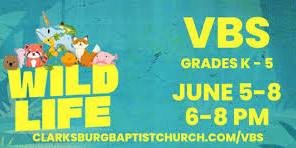 VBS