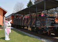 Easter Bunny Express at Arcade & Attica Railroad