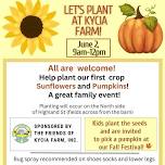 Let's Plant Sunflowers and Pumpkins on Kycia Farm!