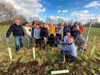 Woodfine Wine - Grape harvest volunteer day