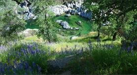 Waste Management of Nevada County Green Waste FREE Day