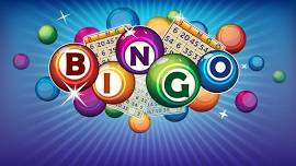 Bingo hosted by Pro Tint & apparel