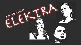 Elektra at Madison Lyric Stage