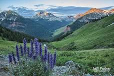 COLORADO WILDFLOWERS -- Photo Tour -- July 2024