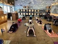 Free Vinyasa Flow Class at Pontoon Brewing!