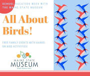 All About Birds- Sponsored by the Maine State Museum