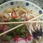 Pho - Session 1