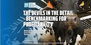 The Devils in the Detail  - Benchmarking for Profitability