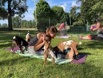 Baby Goat Yoga!