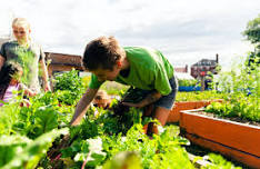 Join a weekly volunteer day at the Intergenerational Farm. — Partridge Creek Farm