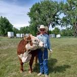 Livestock Camp