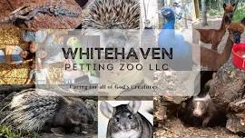 Whitehaven Petting Zoo