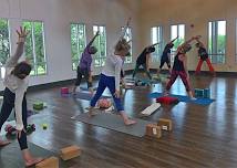 Ayurvedic Yoga therapeutics training for Yoga Teachers, Yoga Therapists, Health Coaches