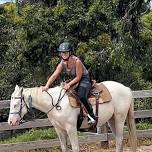 Starting a Horse under Saddle Clinic