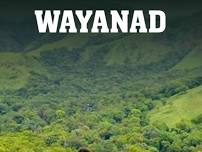 Wayanad Diaries ( Long Week)