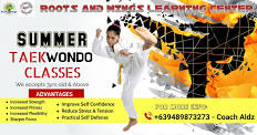 SUMMER TAEKWONDO CLINIC