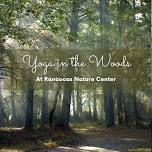 Yoga In The Woods