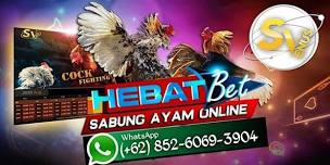 Daftar Sabung Ayam Online Philipina Server Indonesia 2024 - Hebatbet