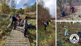 Conservation Volunteers - Beecraigs Country Park