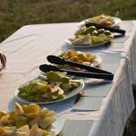 Fruit Tasting on the Farm