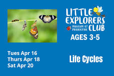 Little Explorer's Club: Life Cycles