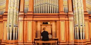 1877 Hill & Son Grand Organ Tours 'A Sound Taste'