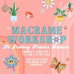 Macramé Workshop at Groovy Plants Ranch 