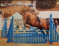 Shelagh Steven Jumping/Flatwork/Power X Clinic