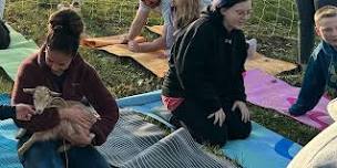 Goat Yoga KC @ Bingham Farmstead Arrow Rock, Mo